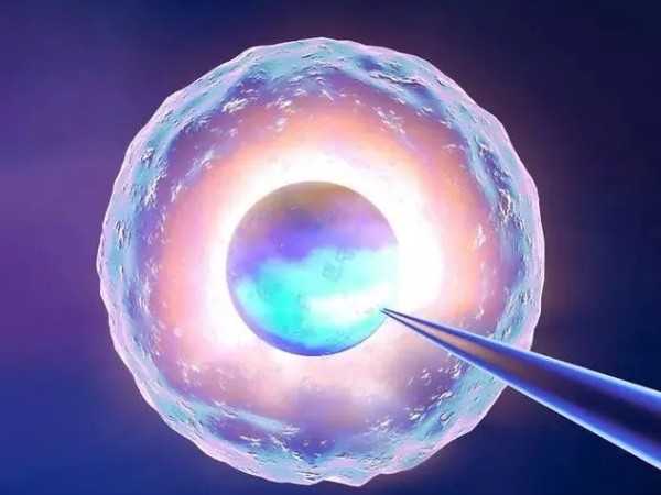 移植1pn囊胚生下来的孩子会畸形吗？