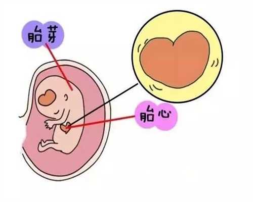 助孕的方法_蛋白质摄入量过高会影响受孕几率