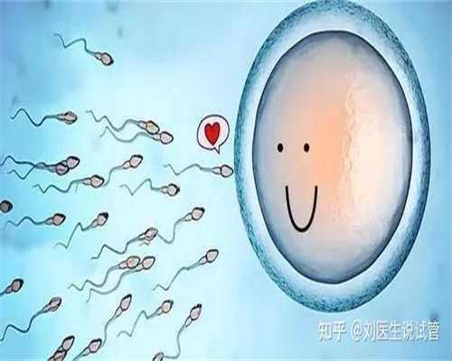 南京缘爱供卵试管:保胎期间可以吃叶酸片吗