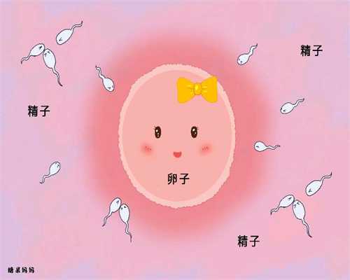 江苏专业的供卵试管网站_供卵试管费用和成功率_代怀孕助孕集团